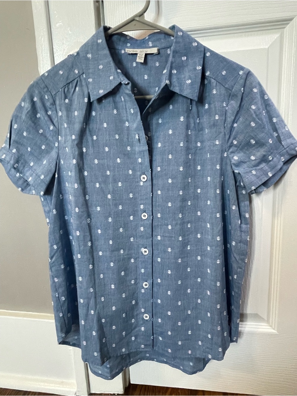 Pale Sky Blue Short-Sleeve Button-Down Shirt